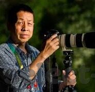 足球波兰对立陶宛比分-绿茵激战，足球波兰VS立陶宛，比分背后的故事与激情